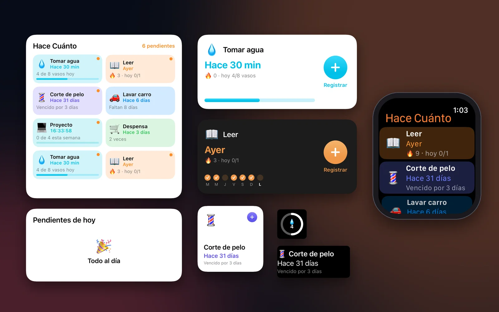 Widgets de varios items, de uno solo y de pantalla de bloqueo, y la app del Apple Watch.